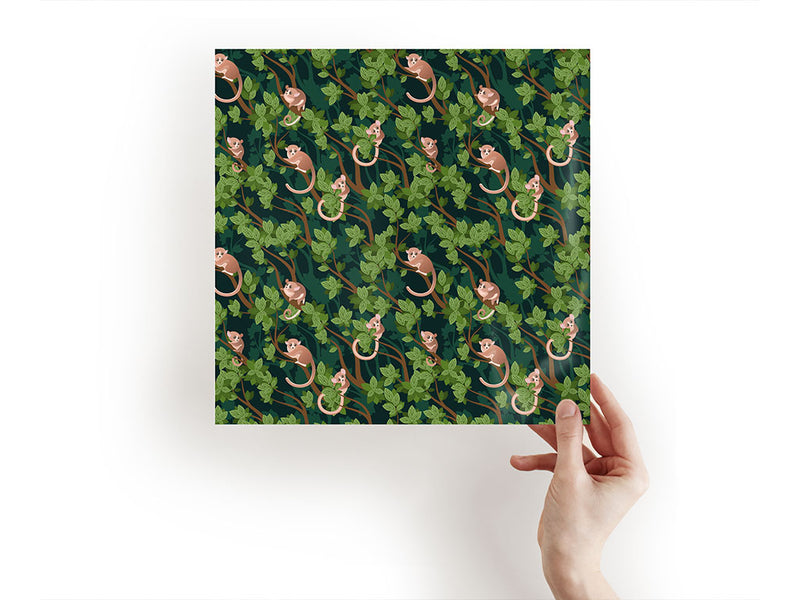 shy tarsiers animal Craft Sheets