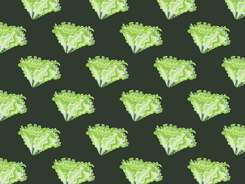 Sierra Batavia Vegetable Vinyl Wrap Pattern~Rwraps Series 914 Digitally Printed Vinyl Wrap~0