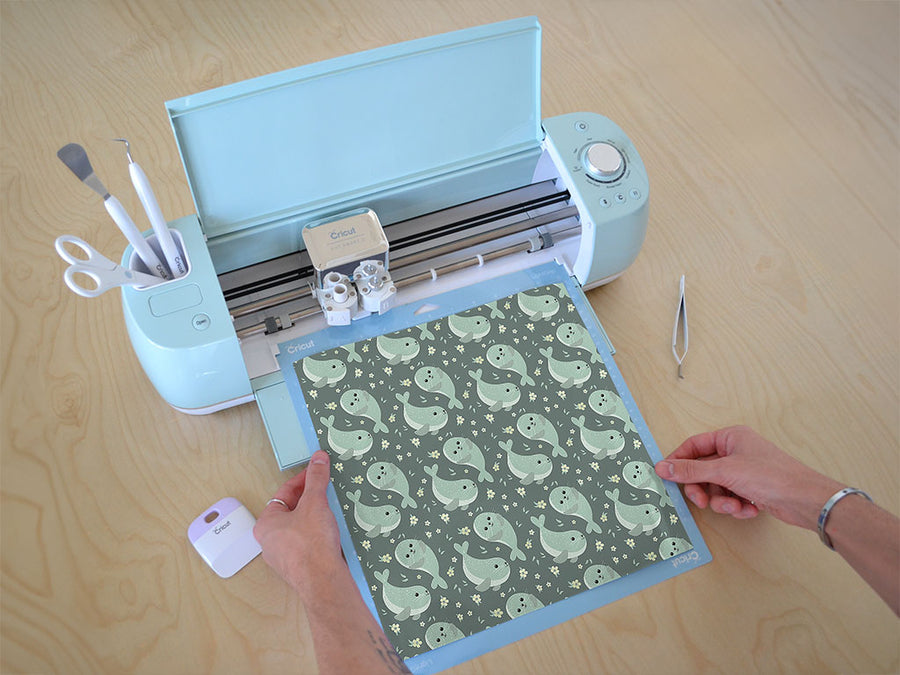 simple seals salt water Cricut Compatible Vinyl