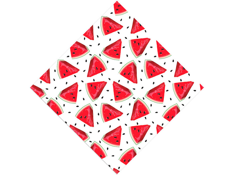 Single Slice Fruit Vinyl Wrap Pattern
