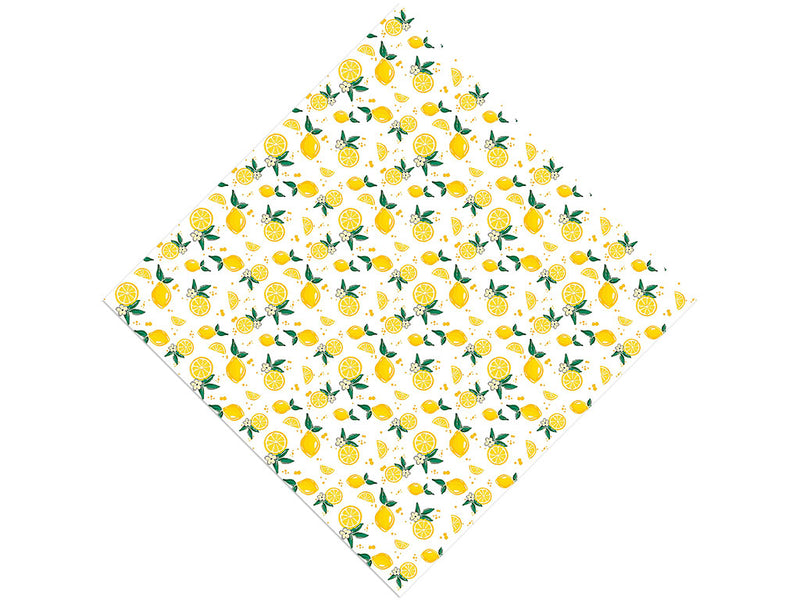 Sorrento Fruit Vinyl Wrap Pattern