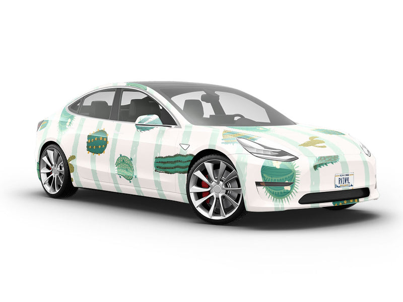 Stand Out Cacti Vehicle Vinyl Wrap