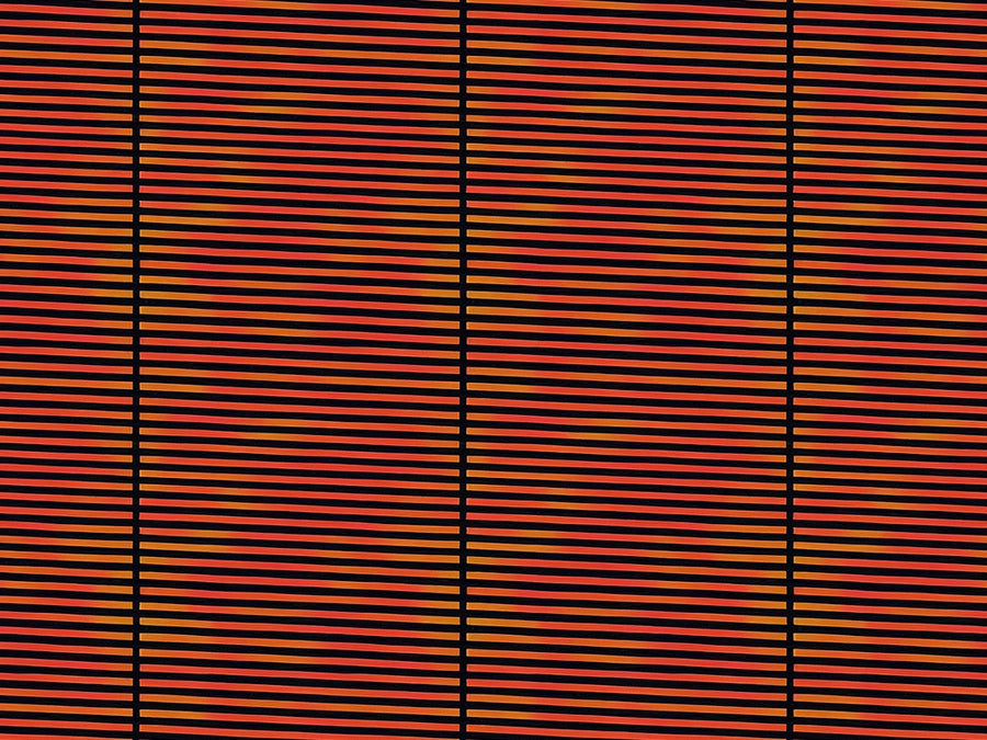 Sunset Cage Science Fiction Vinyl Wrap Pattern~Rwraps Series 914 Digitally Printed Vinyl Wrap~0