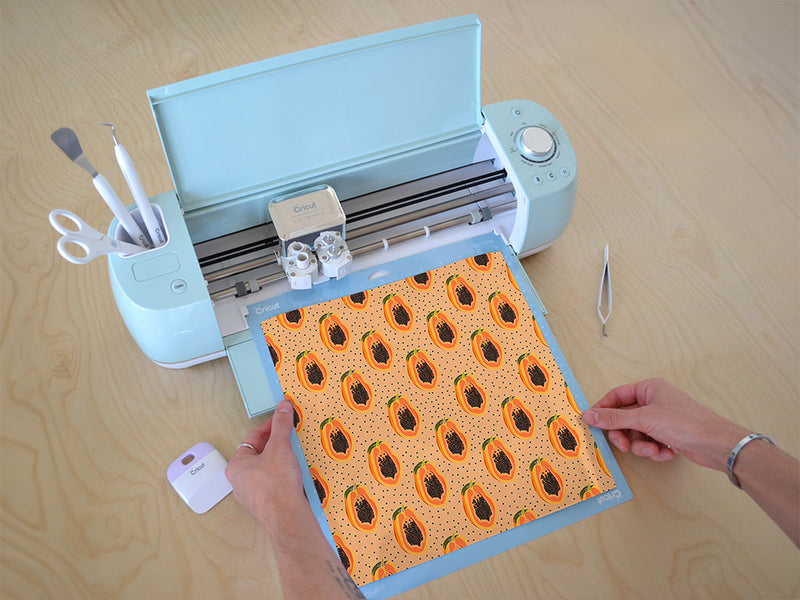 sweet sunnybank fruit Cricut Compatible Vinyl