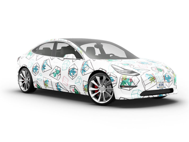 Terrarium Living Cacti Vehicle Vinyl Wrap