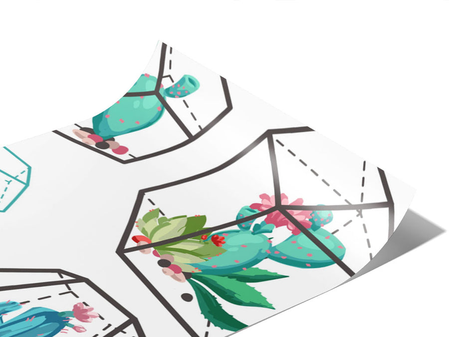 Terrarium Living Cacti Vinyl Wraps~Rwraps Series 914 Digitally Printed Vinyl Wrap~0