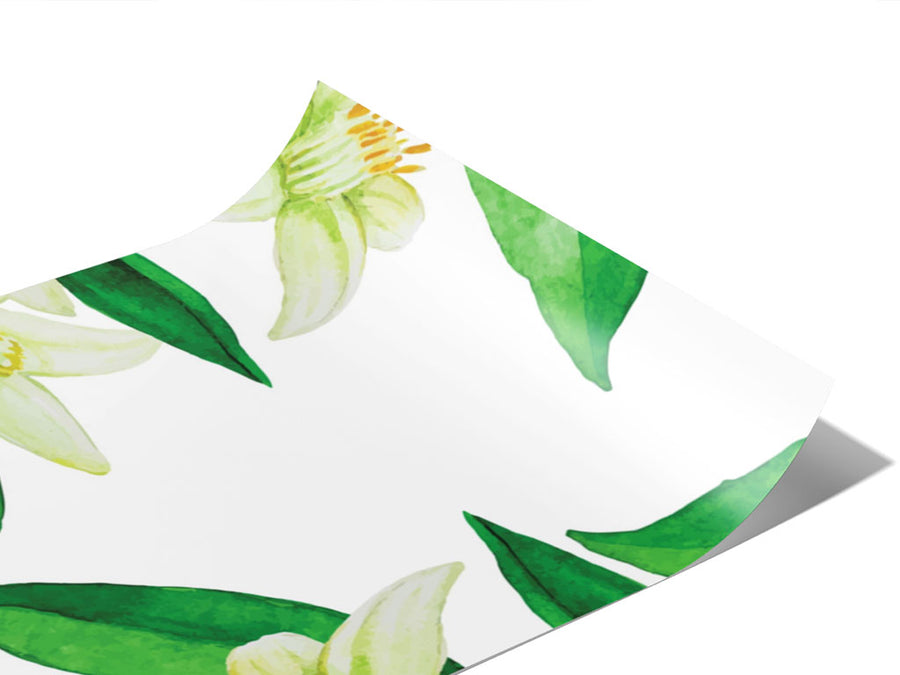 The Hamlin Fruit Vinyl Wraps~Rwraps Series 914 Digitally Printed Vinyl Wrap~0