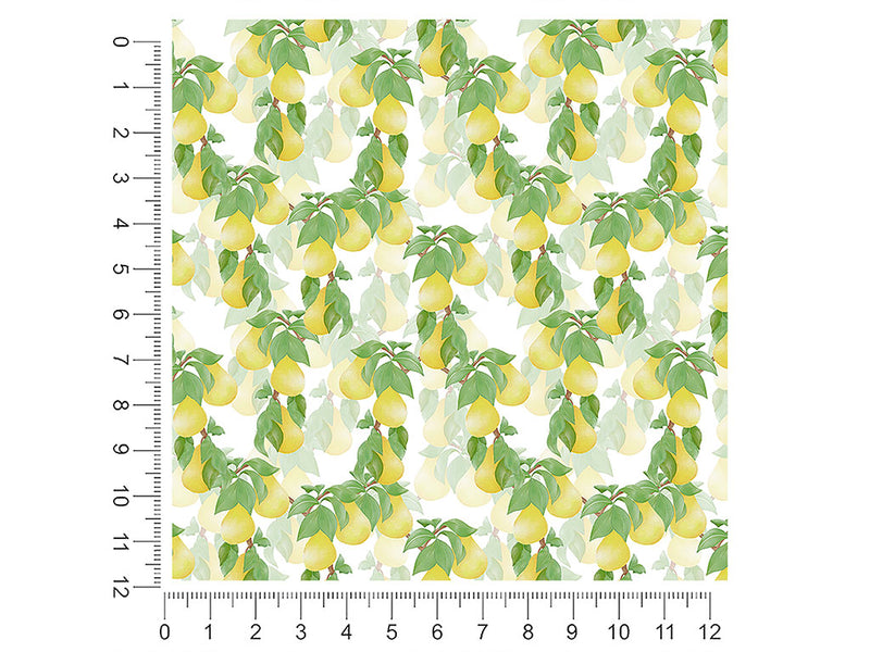 timeless anjou fruit 1ft x 1ft Craft Sheets