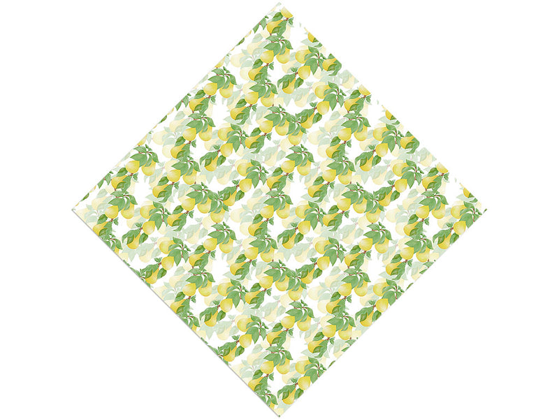 Timeless Anjou Fruit Vinyl Wrap Pattern