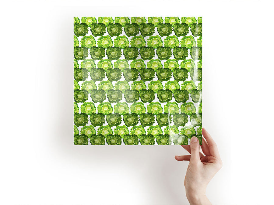 tom thumb butterhead vegetable Craft Sheets