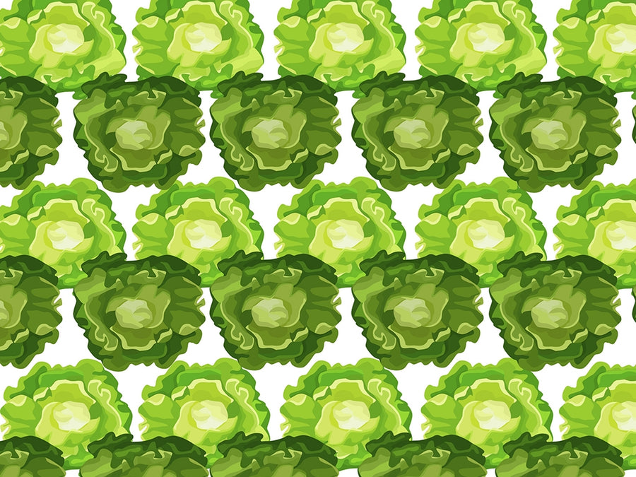 Tom Thumb Butterhead Vegetable Vinyl Wrap Pattern~Rwraps Series 914 Digitally Printed Vinyl Wrap~0