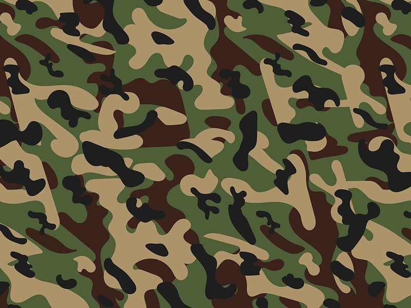 Valley Stream Camouflage Vinyl Wrap Pattern~Rwraps Series 914 Digitally Printed Vinyl Wrap~0