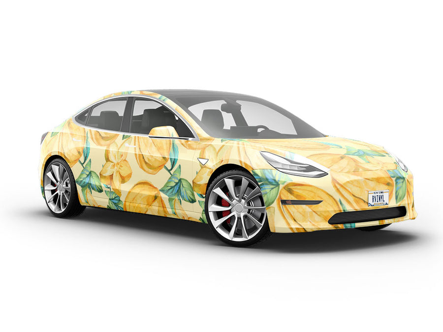 Watercolor Wishes Fruit Vehicle Vinyl Wrap