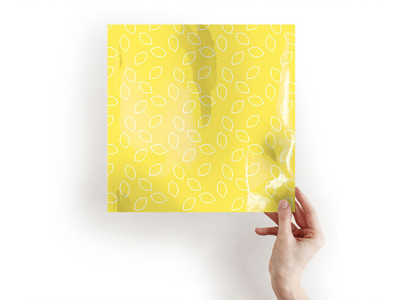 white outline fruit Craft Sheets
