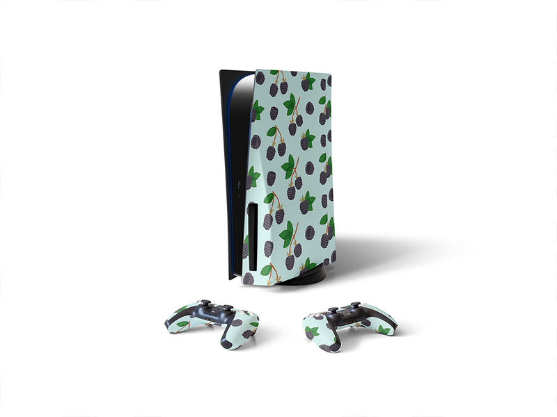 wild treasure fruit Sony PS5 DIY Skin