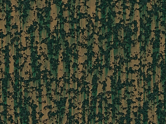 Contaminated Forest Rust Vinyl Wrap Pattern