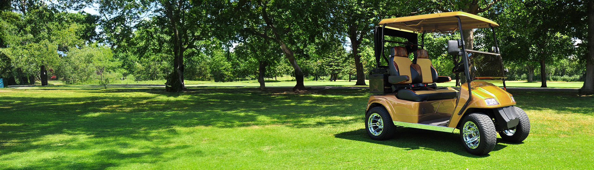 Gold Golf Cart Wraps