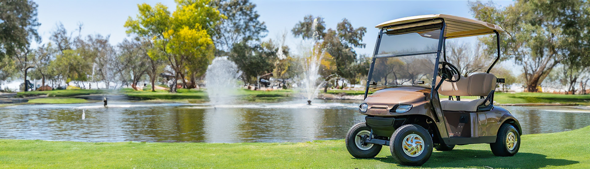 Mahogany Golf Cart Wraps