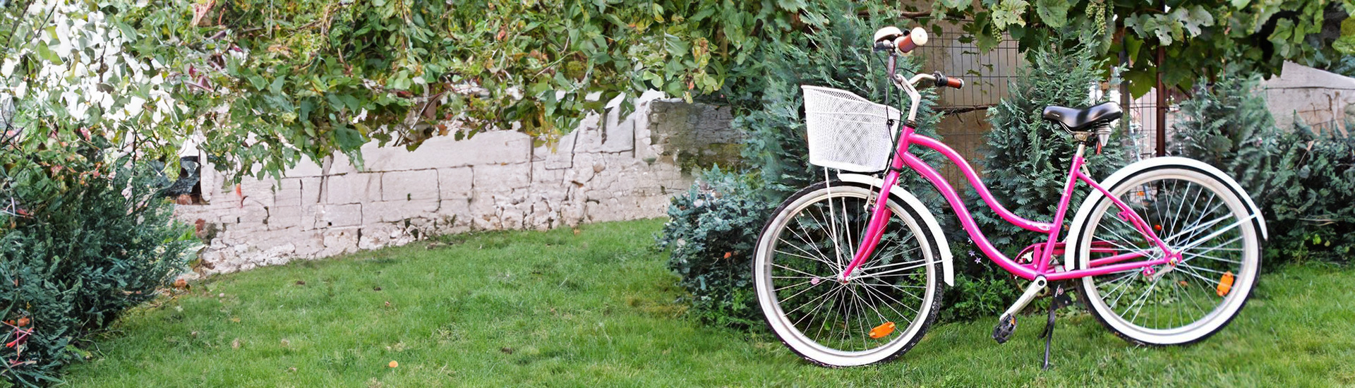Pink Bicycle Wraps