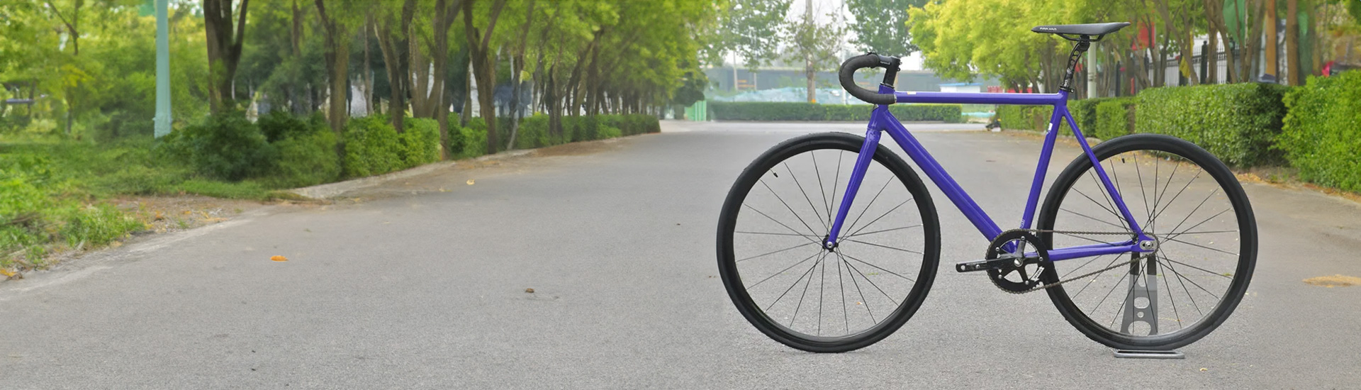 Purple Bicycle Wraps