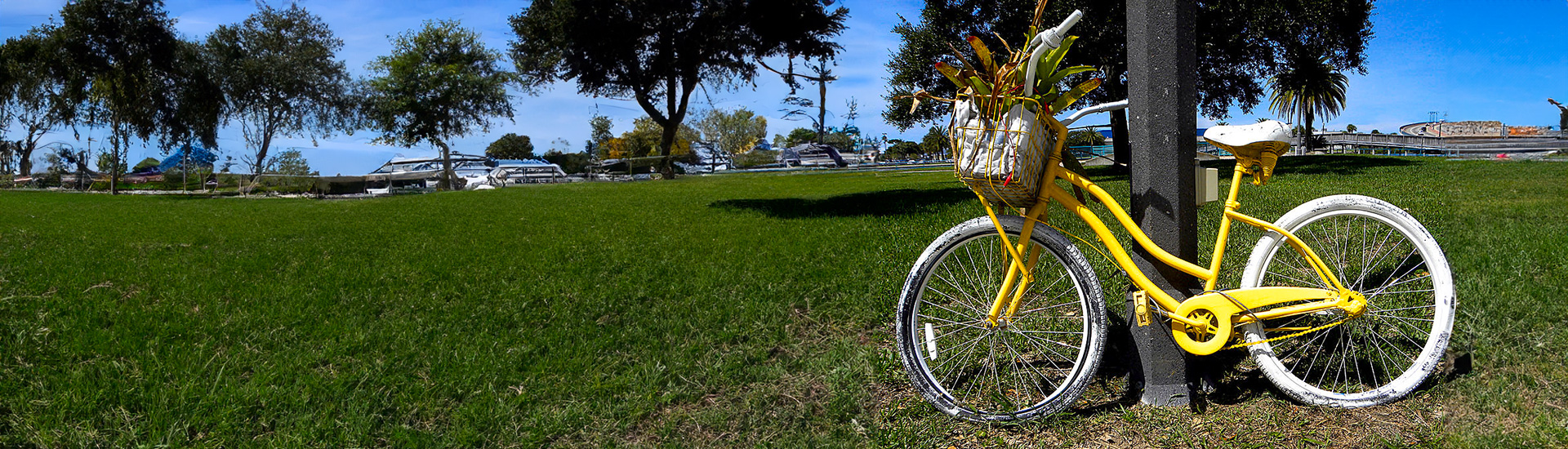 Yellow Bicycle Wraps