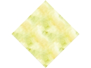 Golden Ballet Watercolor Vinyl Wrap Pattern
