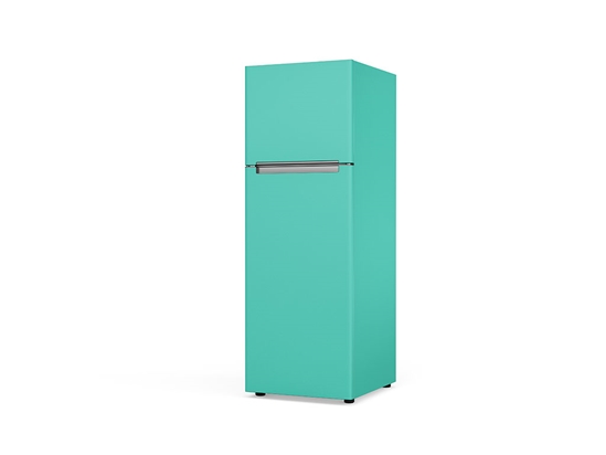 ORACAL 970RA Matte Mint Custom Refrigerators
