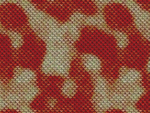 Rwraps™ Snake Print Vinyl Wrap Film - Red