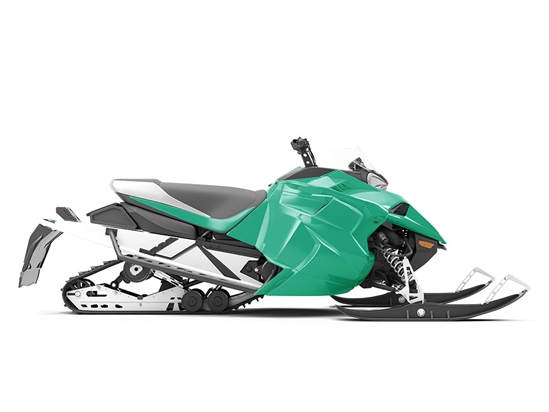 Avery Dennison SW900 Gloss Emerald Green Do-It-Yourself Snowmobile Wraps