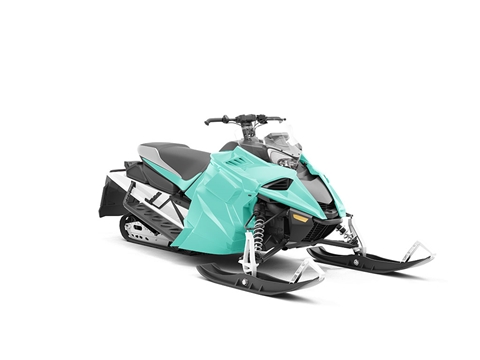 ORACAL® 970RA Matte Mint Snowmobile Wraps