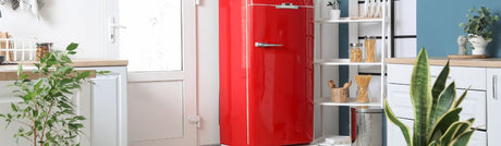 The Benefits of Fridge Wraps