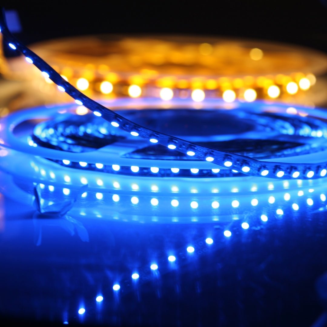 Coils of Orange and Blue LEDs