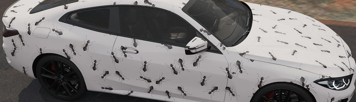 Ant Wrap Films | Ant Vinyl Wraps
