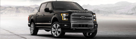 Ford Precut Window Tint