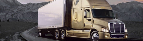 Freightliner Fog Light Tint Covers