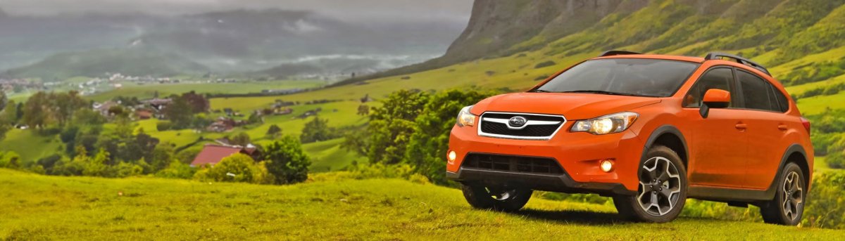 Orange Vehicle Wraps