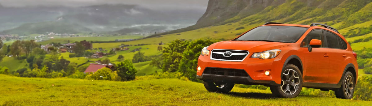 Orange Vehicle Wraps