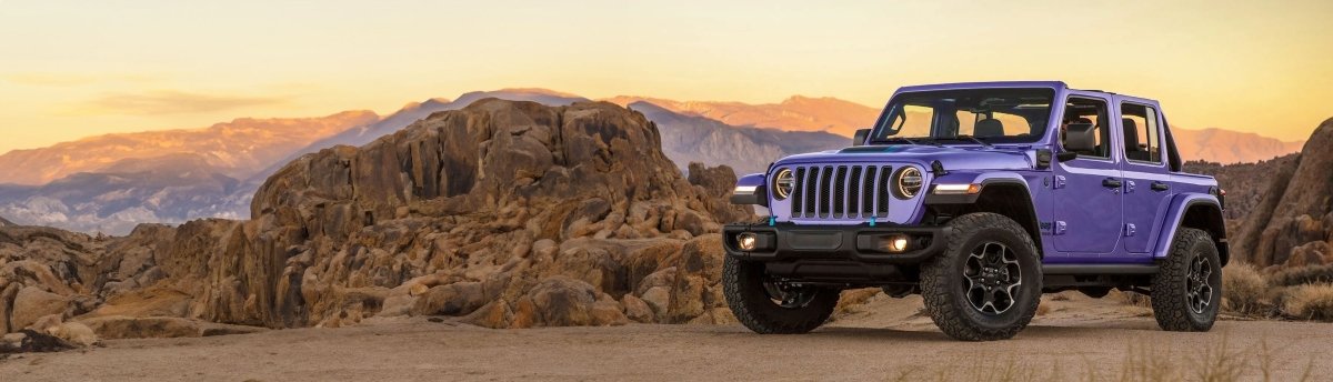 Purple Vehicle Wraps
