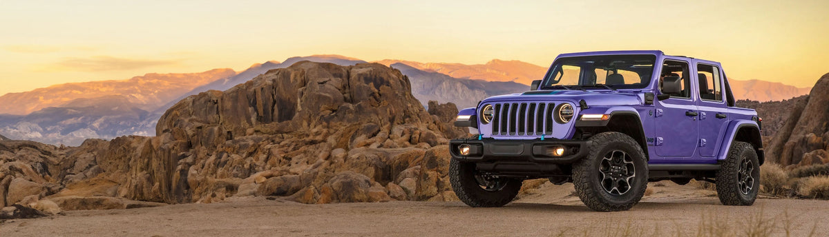 Purple Vehicle Wraps