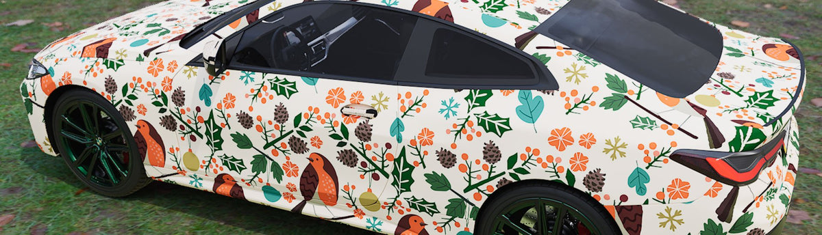 Robins and Jays Wrap Films | Robins and Jays Vinyl Wraps - Rvinyl