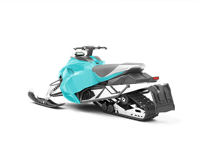3M 1080 Gloss Atomic Teal Snowmobile Vinyl Wraps