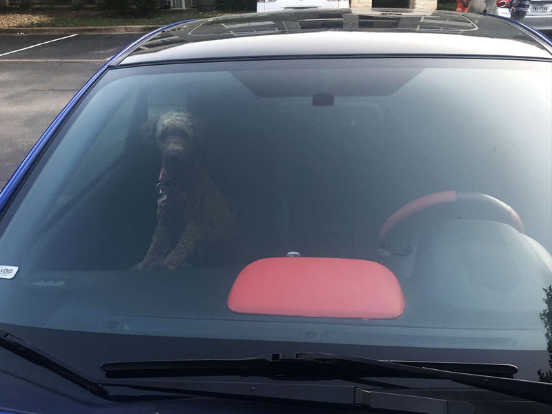 3M 2080 Series Matte Red Custom Wrap