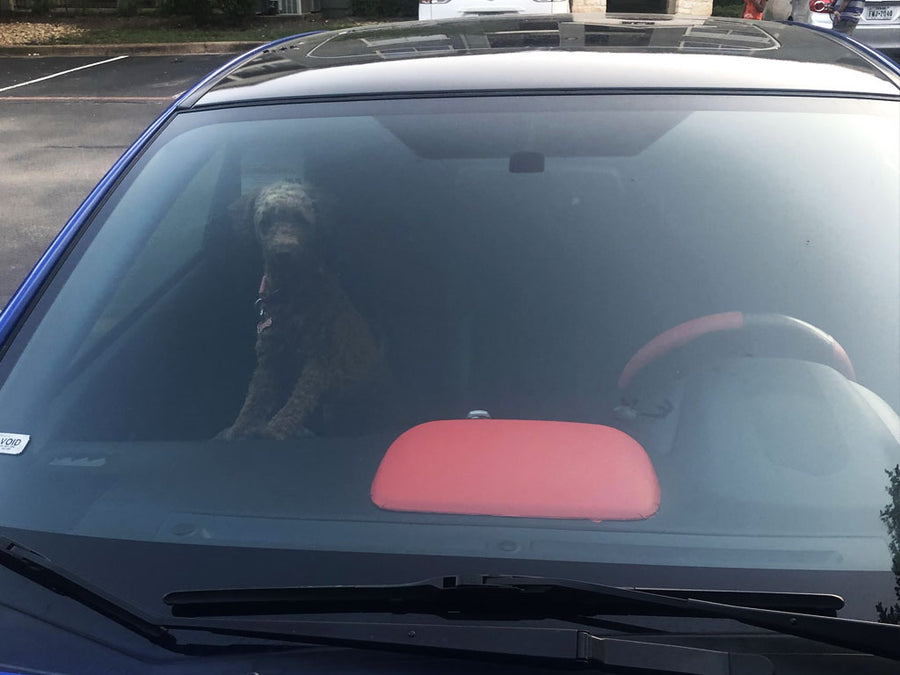3M 2080 Series Matte Red Custom Wrap