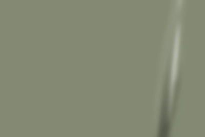 3M™ 2080 Satin Komodo Green Vinyl Wrap | S56