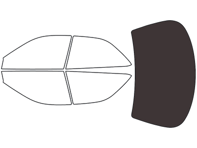 Rear Windshield - 15%