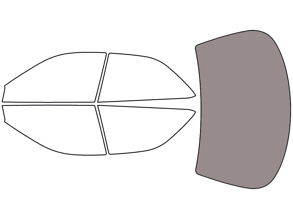 Rear Windshield - 45%