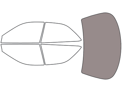 Rear Windshield - 45%