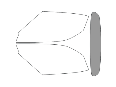 Rear Windshield - 45%