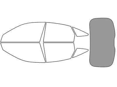 Rear Windshield - 45%