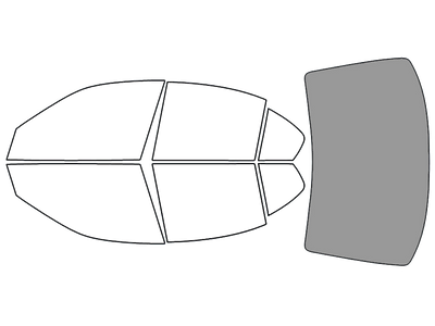 Rear Windshield - 45%
